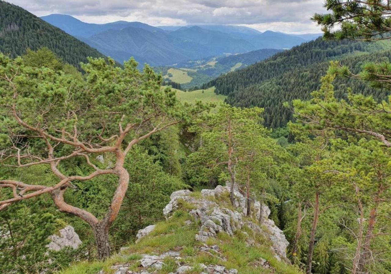 Apartmány Fatrapark Hrabovo Ruzomberok Exteriér fotografie